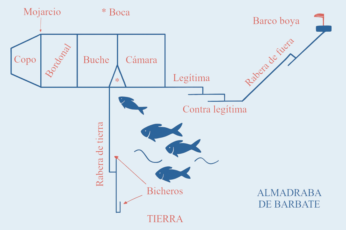 Esquema a vista de pájaro del sistema de redes de las almadrabas